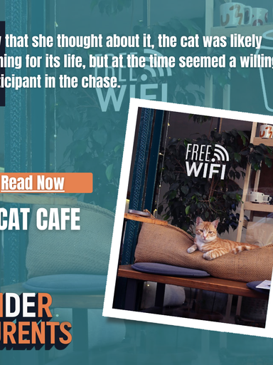 CAT CAFE
